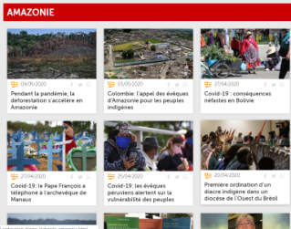 Plus Nouvelles sur le synode Plus Nouvelles sur le synode